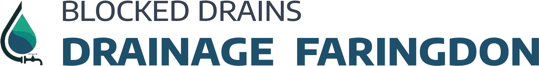 website logo